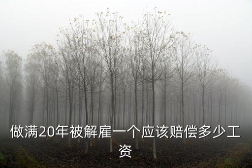 做滿20年被解雇一個應該賠償多少工資
