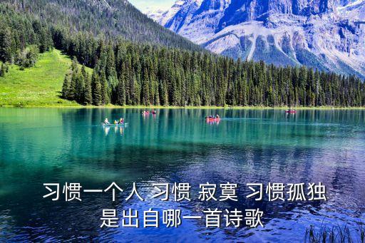  習慣一個人 習慣 寂寞 習慣孤獨是出自哪一首詩歌