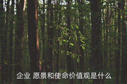  企業(yè) 愿景和使命價(jià)值觀是什么