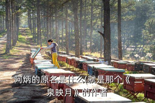 阿炳二泉映月,民謠音樂(lè)人阿炳的一生