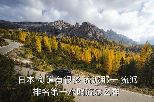  日本 劍道有很多 流派那一 流派排名第一水鷗流怎么樣