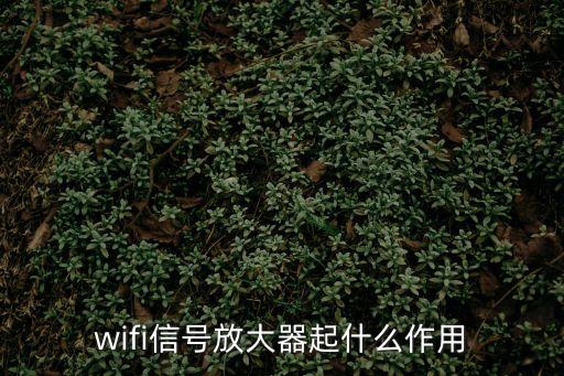 無線放大器，wifi信號放大器有什么用
