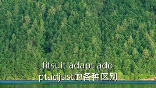 fitsuit adapt adoptadjust的各種區別