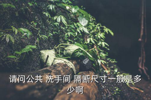 洗手間隔斷,先做地板磚和墻磚再做隔斷衛生間隔斷注意事項