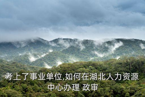 政審函模板,湖北人力資源中心:復(fù)試前沒有政審這個環(huán)節(jié)