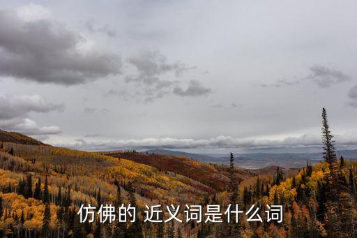 仿佛近義詞,我看了仿佛我成神仙收割一結(jié)束我就睡著了