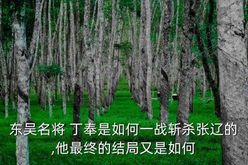 丁奉,神彈珠奉獻給東吳四君主