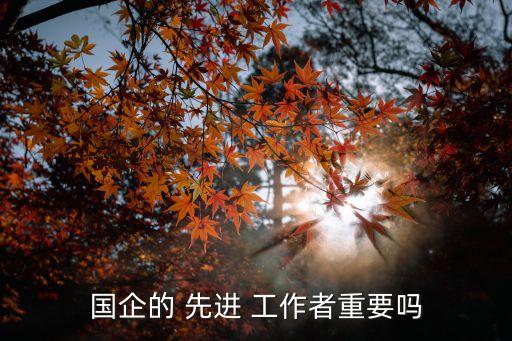 國企的 先進(jìn) 工作者重要嗎