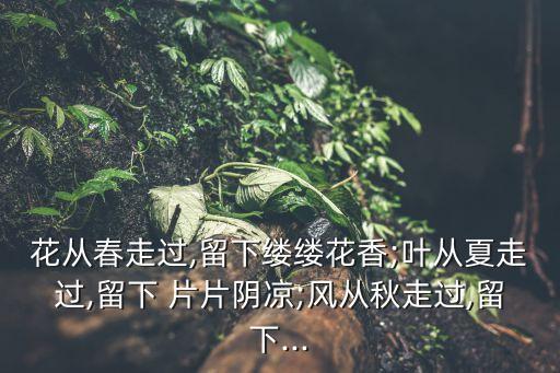 下片片,第二集:花兒走過(guò)春天留下一縷清香