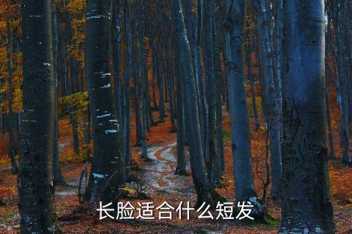 長臉適合什么短發