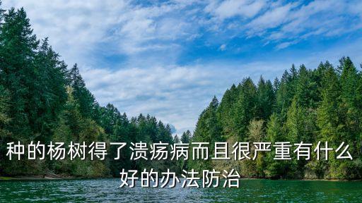 楊樹潰瘍病，楊樹潰瘍病用什么藥簡(jiǎn)單有效