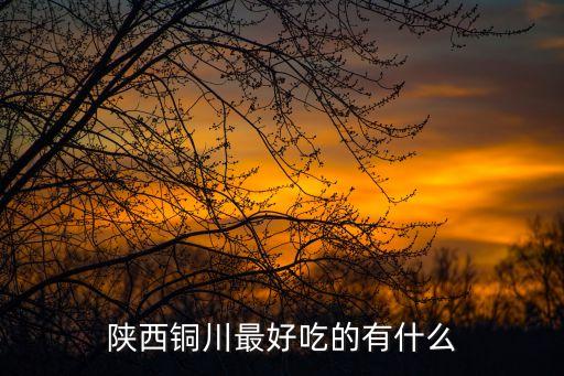 銅川美食，陜西銅川最好吃的有什么
