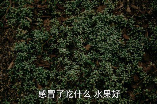  感冒了吃什么 水果好