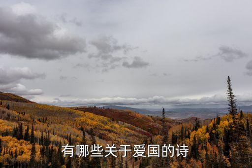 有哪些關(guān)于愛(ài)國(guó)的詩(shī)