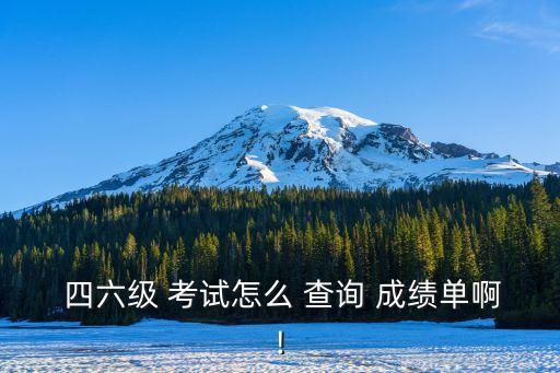  四六級 考試怎么 查詢 成績單啊!