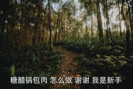 糖醋鍋包肉 怎么做 謝謝 我是新手
