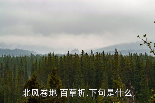 百草折,白雪之歌:北風(fēng)卷白草碎八月雪橫韃靼天