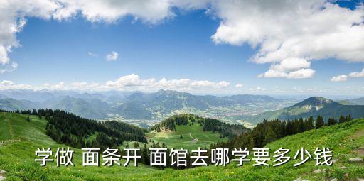 學做面條開面館,開面館賺錢嗎?