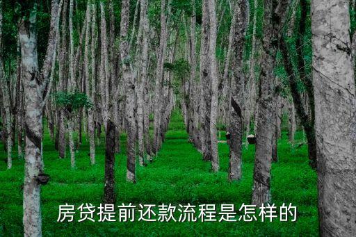 房貸提前還款，關于房貸提前還款問題