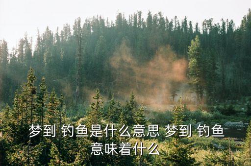  夢到 釣魚是什么意思 夢到 釣魚意味著什么