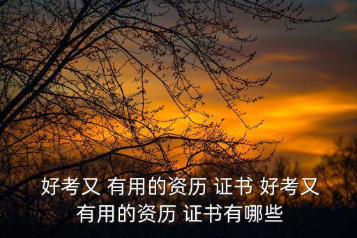什么證書好考又有用,職業資格證書有何用處?