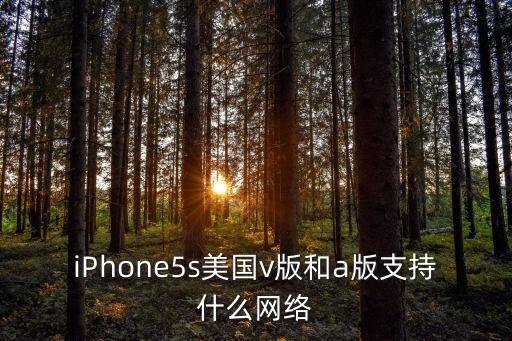美國v,美國綠卡申請已過半中國應(yīng)該是一家通信公司縮寫