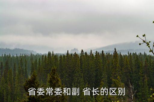 副省長(zhǎng)是什么級(jí)別,副職省長(zhǎng)和市委常委有何不同?