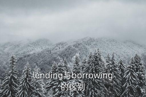 borrowing，BORROWING的意思