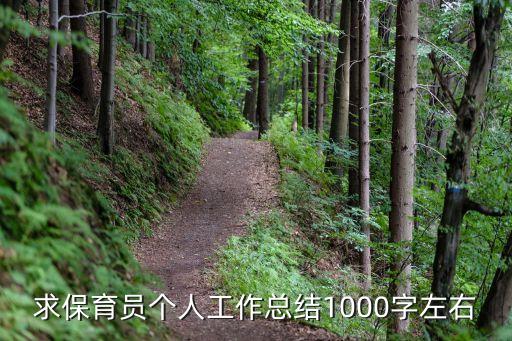 求保育員個人工作總結1000字左右
