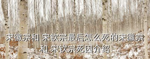 宋欽宗,宋欽宗被打馬球身體虛弱不擅馬術