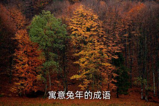 寓意兔年的成語