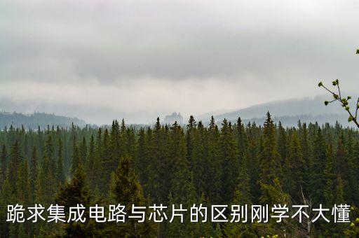 跪求集成電路與芯片的區(qū)別剛學(xué)不大懂