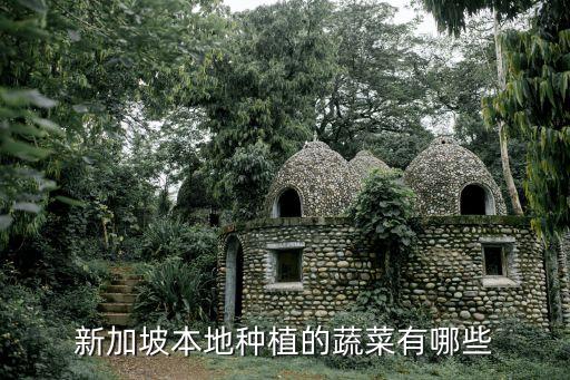 新加坡本地種植的蔬菜有哪些