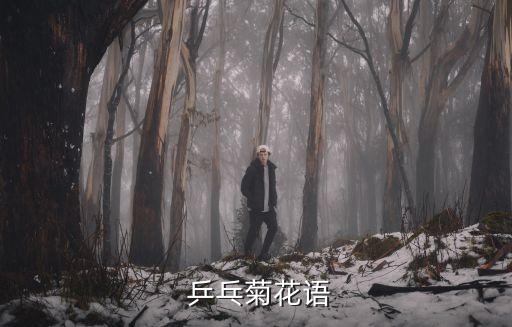 乒乓菊,乒乓菊花寓意:清白和圓潤