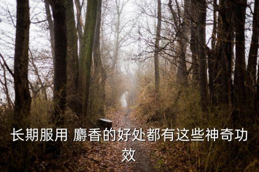 麝香十大功效,香料有哪些?