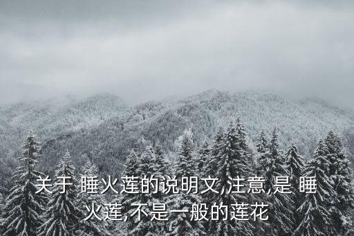 睡火蓮,火火蓮紫睡蓮之名來(lái)自荷蘭迪亞