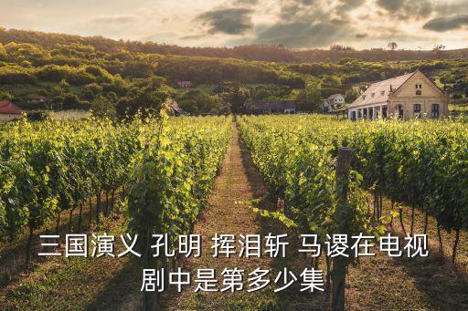 三國演義 孔明 揮淚斬 馬謖在電視劇中是第多少集