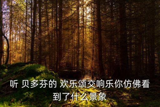 聽 貝多芬的 歡樂頌交響樂你仿佛看到了什么景象