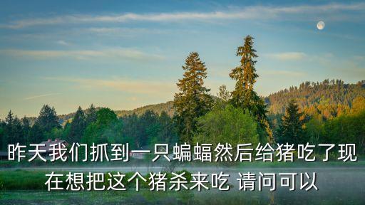 蝙蝠能吃嗎，蝙蝠可以吃么