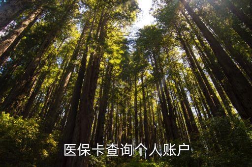 醫(yī)保卡查詢個人賬戶