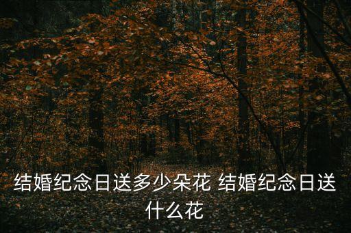 結婚紀念日送多少朵花 結婚紀念日送什么花