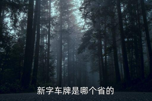 新是哪個(gè)省的簡稱,新疆三大山脈冰雪孕育出500多條河流