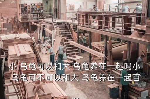 大烏龜,一起養也不利于小烏龜的喂養成長