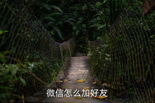 微信怎么加人，怎么加微信好友