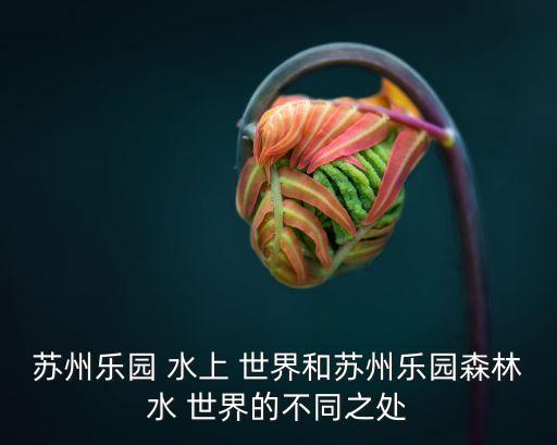 水上世界,重慶海昌加勒比水世界雨天開心玩水上樂園林世界