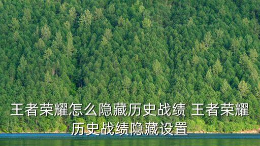 王者榮耀怎么隱藏歷史戰績 王者榮耀歷史戰績隱藏設置