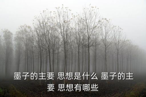 墨子思想,墨子de思想命題:兼愛和博愛墨子的思想