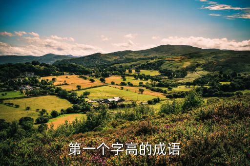 第一個(gè)字高的成語(yǔ)