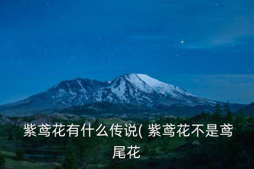 紫鳶,晨光|紙上風云:愛與死亡的博弈