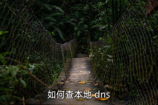 如何查本地 dns